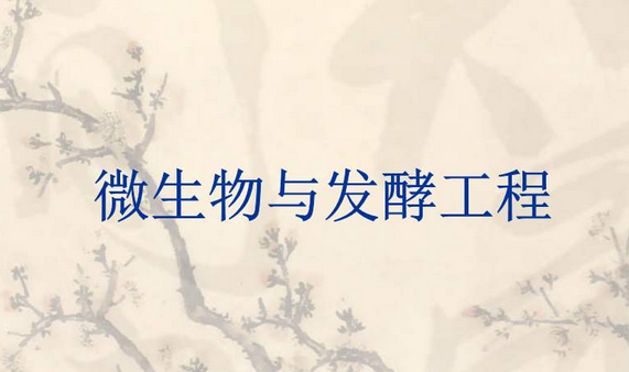 螺桿鼓風(fēng)機(jī)，微生物發(fā)酵，微生物發(fā)酵使用鼓風(fēng)機(jī)
